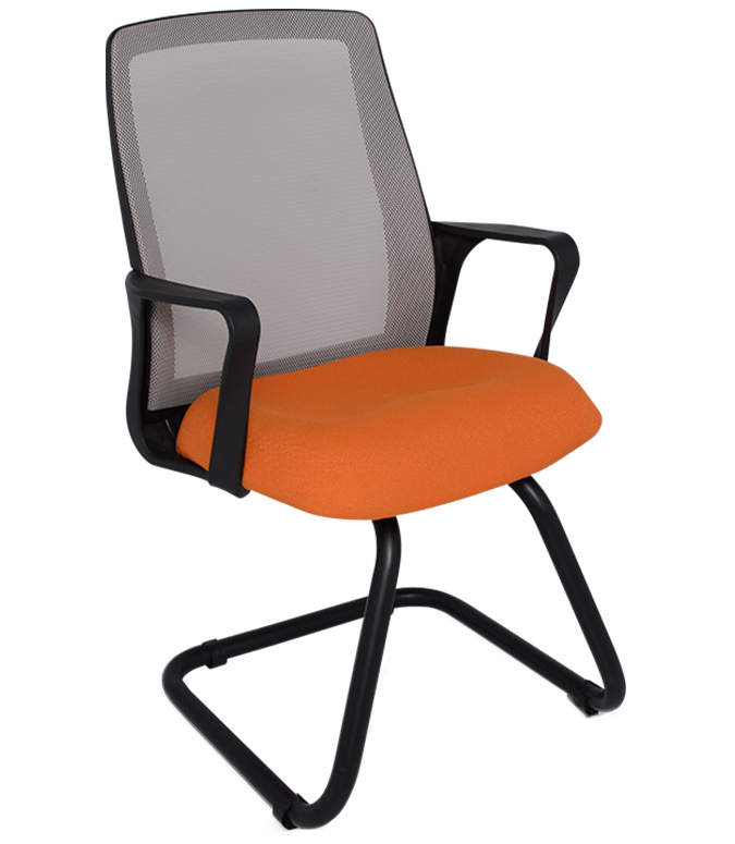 Silla Tijuana Visita